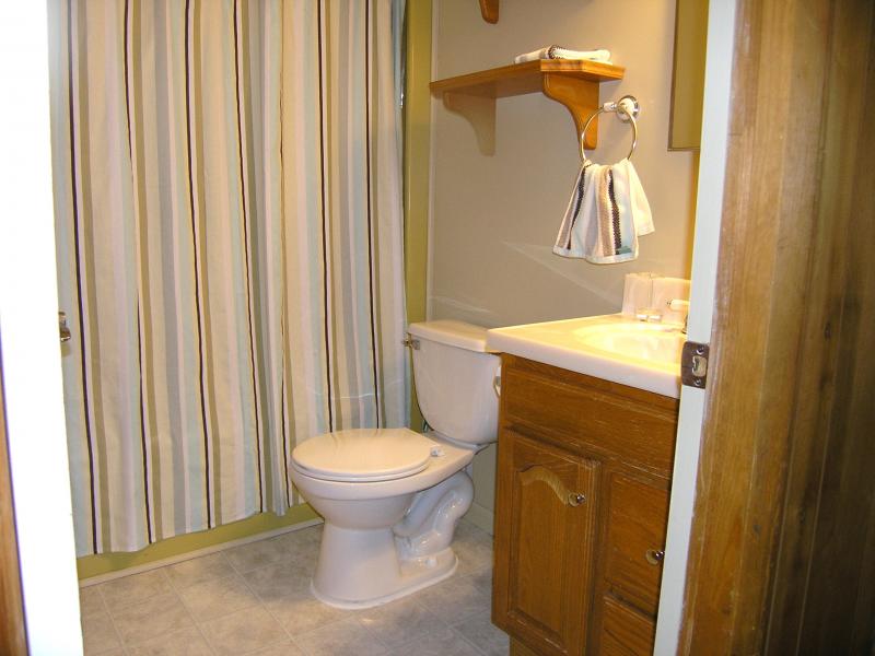Upper Level - bath with tub/shower combo!