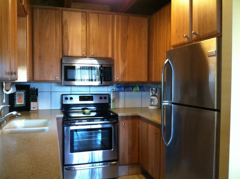 All New Stainless Steel Appliances 2012 Season!
