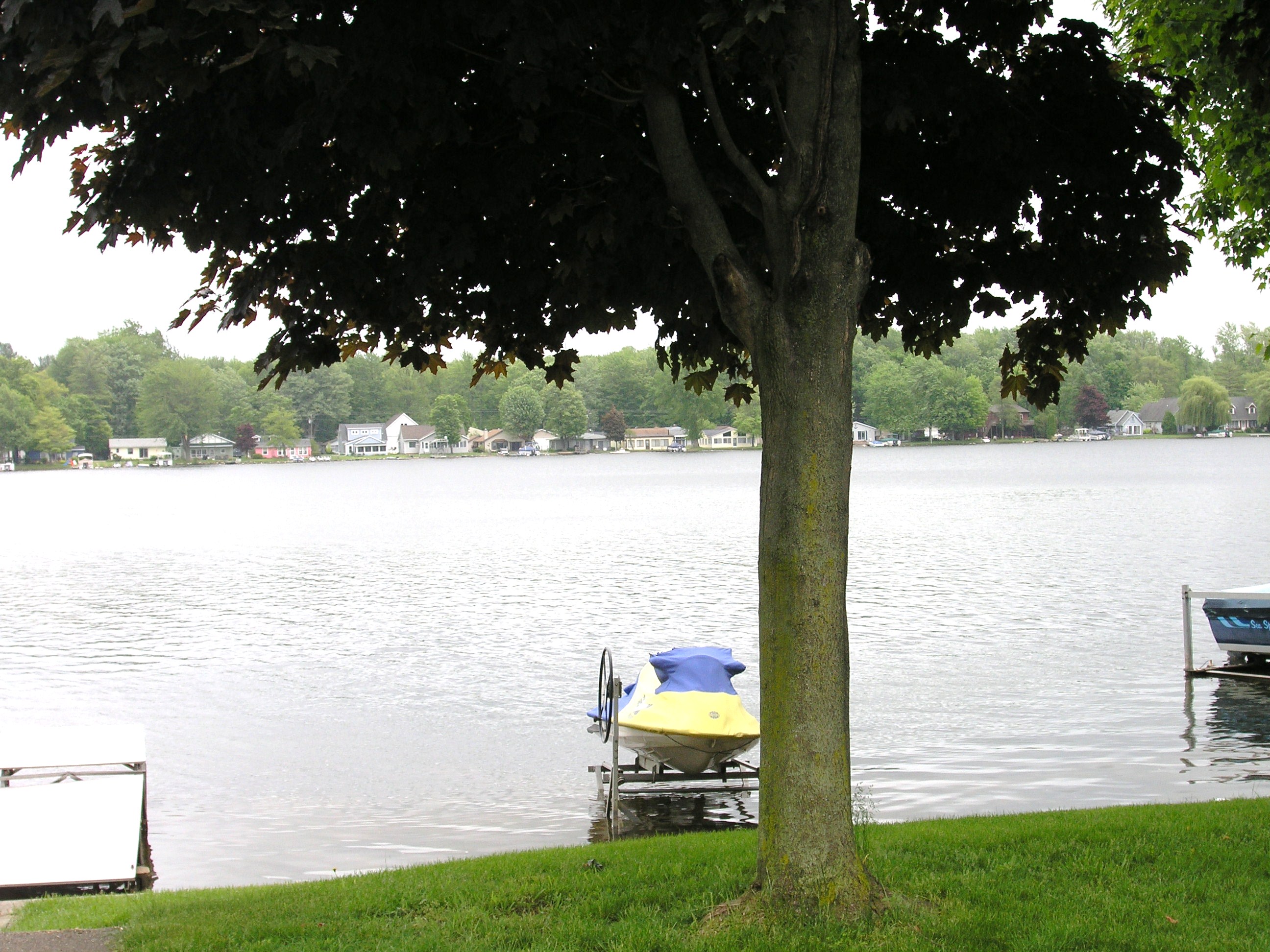 Lake view!